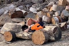 creative timber works