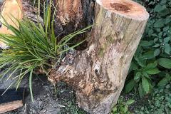 natural timber features