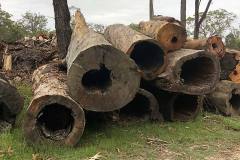 timber log habitat hollow reconstruction