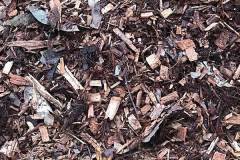 fresh Eucalyptus tree mulch supplies